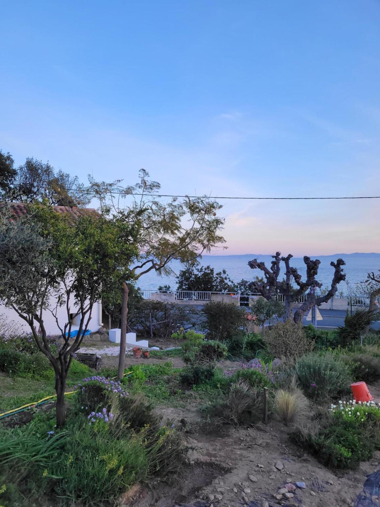 Maison 4 Face A La Mer Grand Jardin Ideal Famille Avec Pluri Animaux Saint Clair Le Lavandou Exterior foto