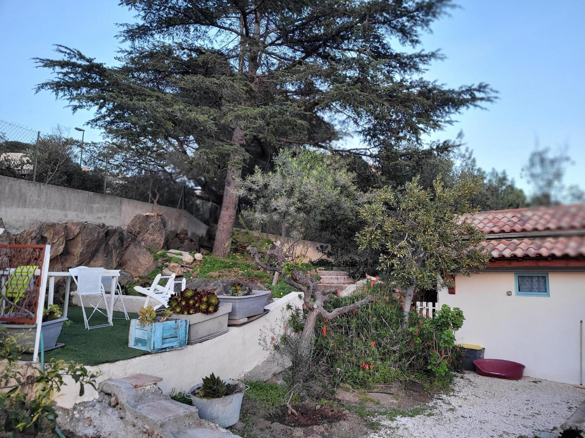 Maison 4 Face A La Mer Grand Jardin Ideal Famille Avec Pluri Animaux Saint Clair Le Lavandou Exterior foto